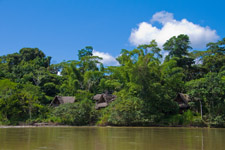 Cotococha Amazon Lodge